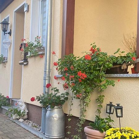Ferienwohnung „Thea“ Bad Lausick Exterior photo